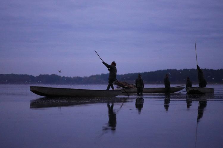 Photos show Czech fisherman hauling in Christmas carp for holiday tables