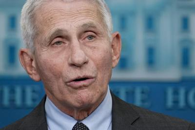 German official dedicates legal win against Twitter to Fauci