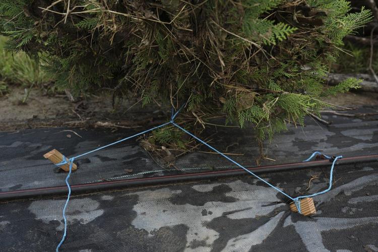 Texas floodwaters damaged crops and endangered livestock. Now farmers and ranchers are cleaning up