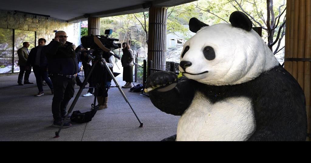 The pandas have landed! Here's what you need to know World News