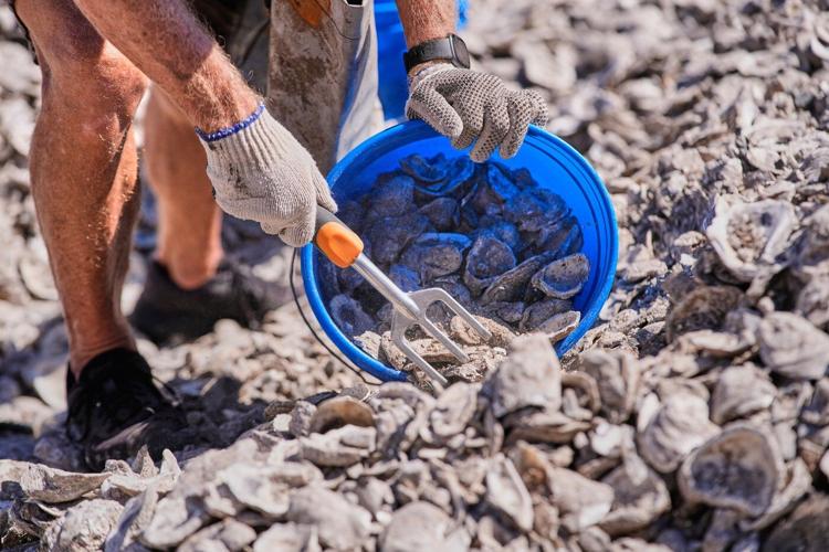 Louisiana is shrinking. Some tribes are fighting to protect what's left of their communities