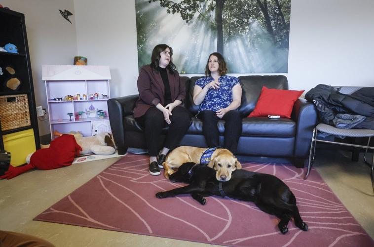 'Furry face to greet them:' How facility dogs help victims navigate the court system