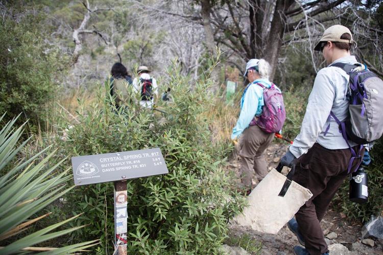 On Mount Lemmon, volunteers give unemployed rocks a new job: Erosion control