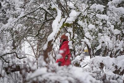 Spring on the doorstep, but winter storms threaten Metro Vancouver, parts of B.C.