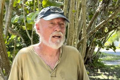 Florida issues health advisory after 4 locally contract malaria in first spread in US in 20 years