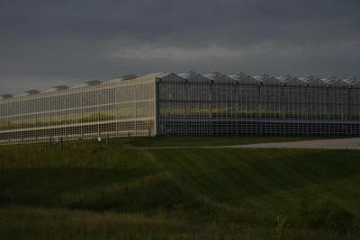 Takeaways from AP story on dangerous heat threats to greenhouse workers