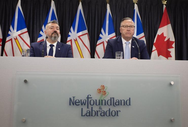 Panel concludes Quebec energy deal not in Newfoundland and Labrador's best interests