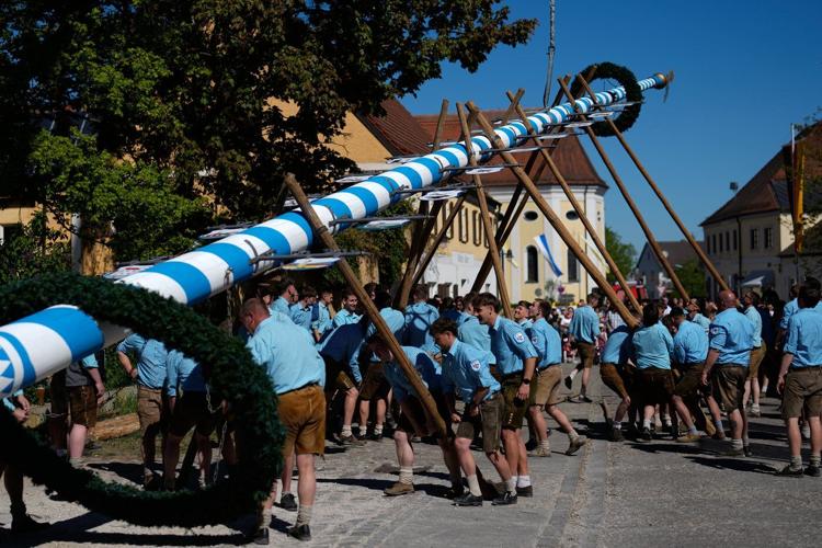 Beer, music and shouts of 'Hau-Ruck' as a Bavarian village raises its new maypole