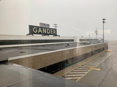 Airport warns about catfishing as people arrive to meet loved ones who don't exist