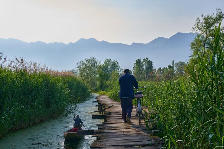 Warming climate, pollution and unplanned growth push Kashmir’s lakes toward disappearance