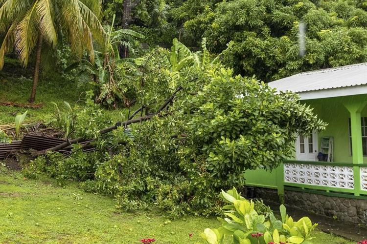 Hurricane Beryl razes southeast Caribbean as a record-breaking Category 4 storm