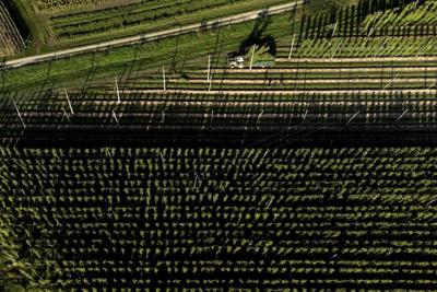 Brewing a cold beer on a warming planet is hard. Germany uses education to fight climate change