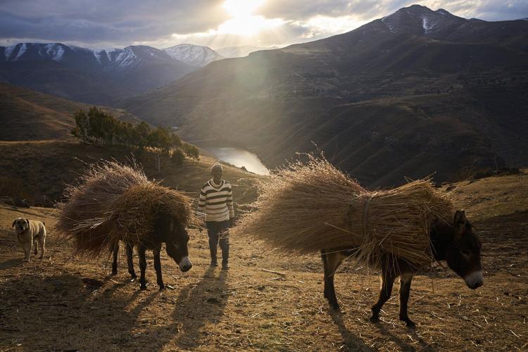 The top photos of the week by AP's photojournalists