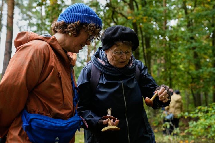Mushroom hunting in Germany sees a revival thanks to veganism and medicinal fungi, in photos