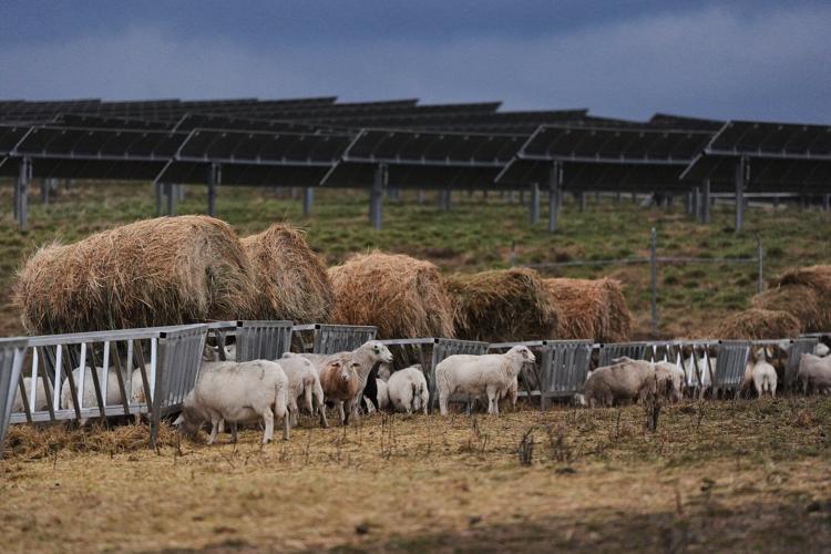 Takeaways from AP-Grist reporting on federal support for rural renewable energy