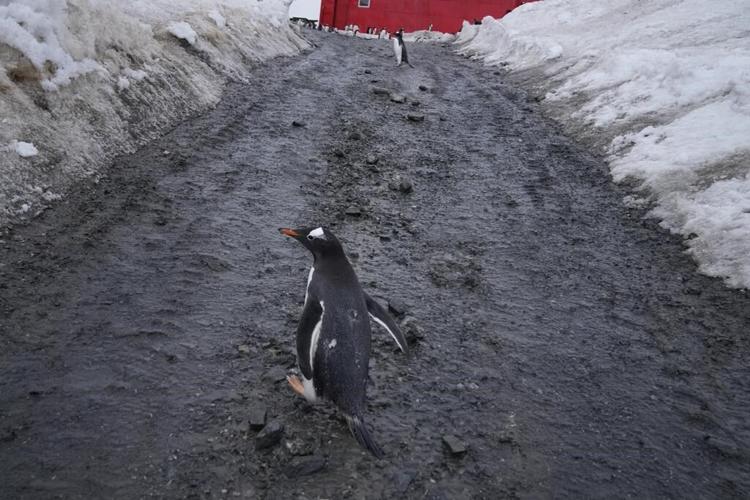 UN chief gives interview from melting Antarctica on eve of global climate summit