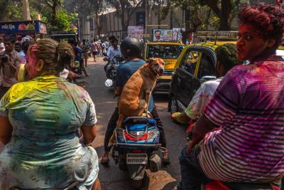 A dog on a scooter with Holi powder on its forehead shows how much Indians love their pets