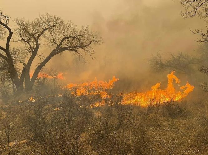 Wildfire grows into one of largest in Texas history as flames menace multiple small towns