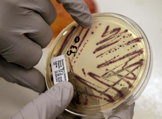 Critical health violations found in kitchen used by daycares after E. coli outbreak