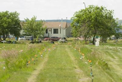 Special tribunal among options to probe crimes linked to unmarked graves: official