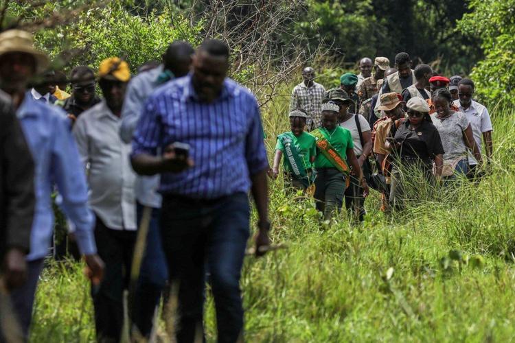 On World Rhino Day, South Africa marks progress but still loses a rhino daily to poachers