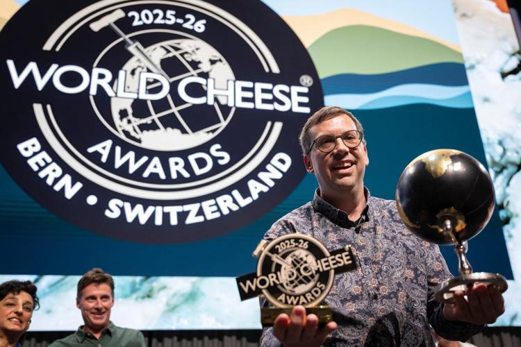 Heady odors and sensory overload as 5,200 cheeses compete for the World Cheese Awards