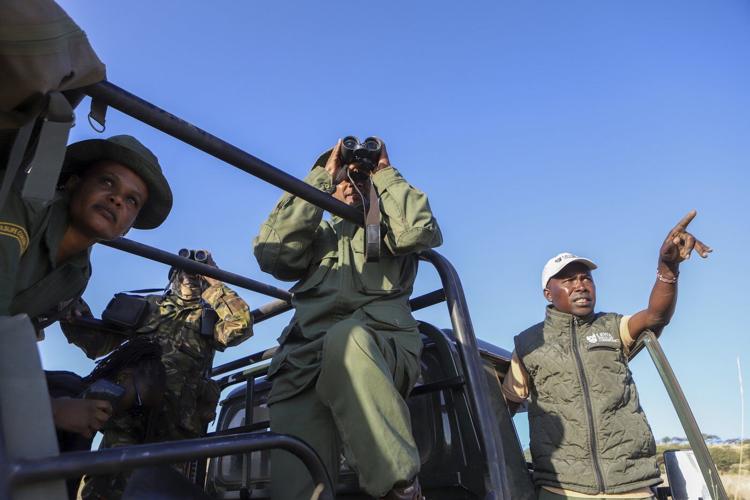 'Wildlife corridors' are encouraged to support Kenya's recovering animal populations