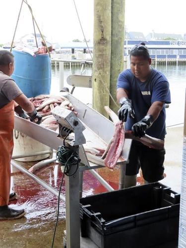 As US East Coast ramps up offshore wind power projects, much remains unknown