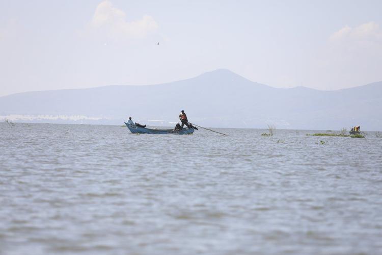 How the invasive water hyacinth is threatening fishermen's livelihoods on a popular Kenyan lake