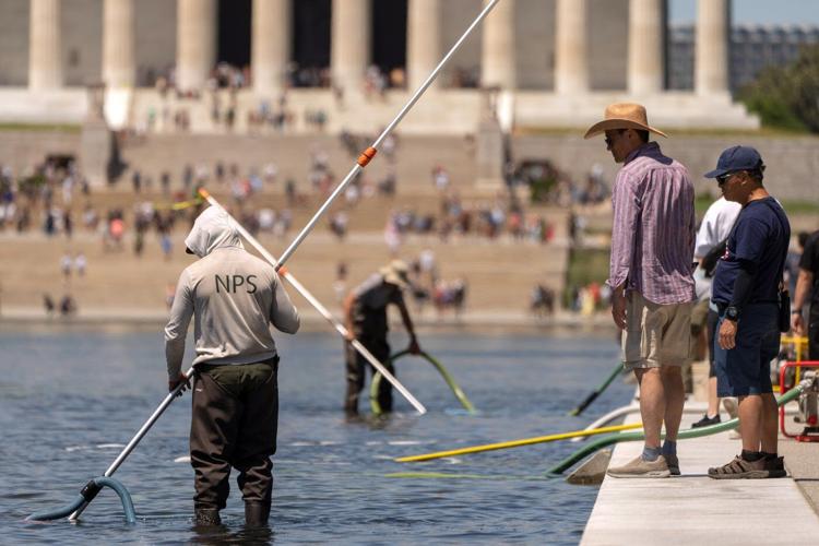 Trump tries to blame Reflecting Pool woes on vandalism, without offering substantiation