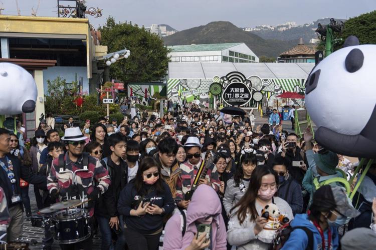 Hong Kong residents compete to name twin panda cubs who just turned 6 months old