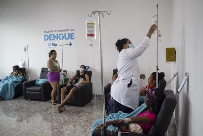 In Rio, rife with dengue, bacteria-infected mosquitoes are making a difference