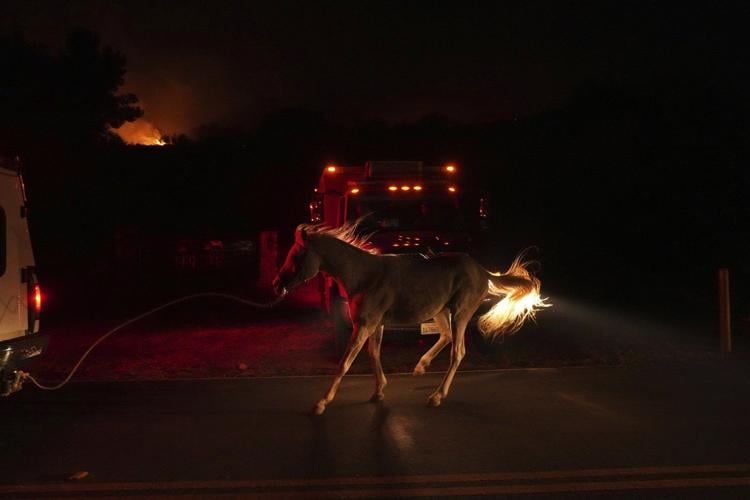 Photos of the scenes after Canyon Fire ignited