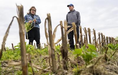 Climate Changed: Quebec farmers improve soil as water supply becomes less reliable