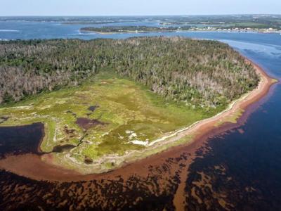 Nature conservancy to buy tiny island off Prince Edward Island's north shore