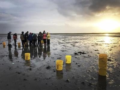 William & Mary expands new climate-focused major, deepens coastal research with $100 million gift