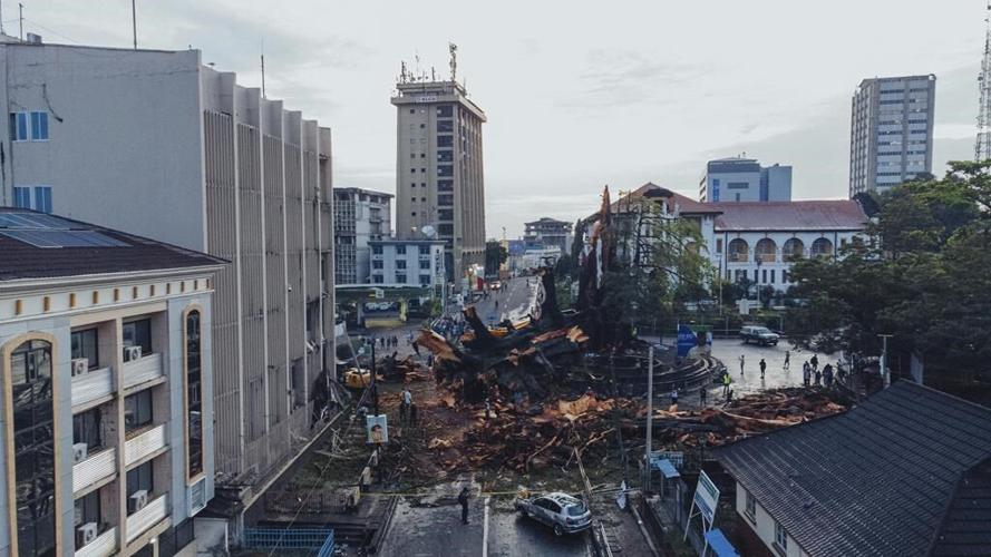 Centuries-old cotton tree, a national symbol for decades, felled by storm in Sierra Leone