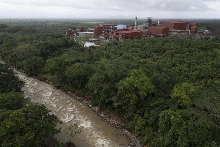 He fought to save jungles in Honduras. Now his killing haunts environmental defenders