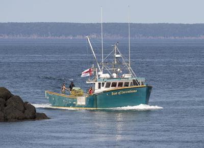 More than 50 Indigenous fish harvesters in the Maritimes charged or on trial: Ottawa