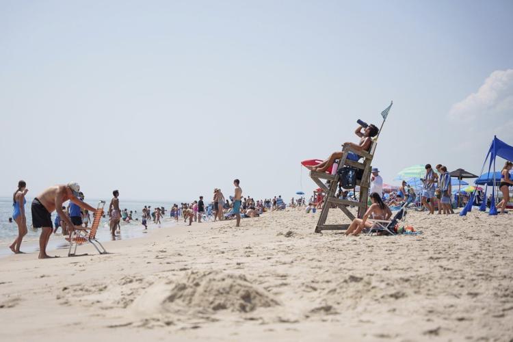 Many Delaware beachgoers feel the sting of a blooming jellyfish population