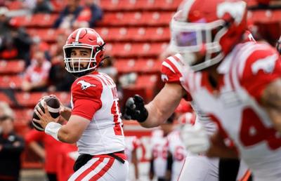 Stampeders pounce on Lions for 30-6 pre-season win