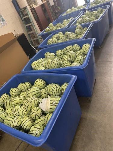 Methamphetamine disguised as shipment of watermelons seized at US-Mexico border in San Diego