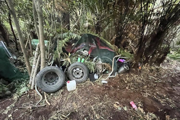 New Zealand police investigate how a man hid his 3 children in a forest for years without discovery