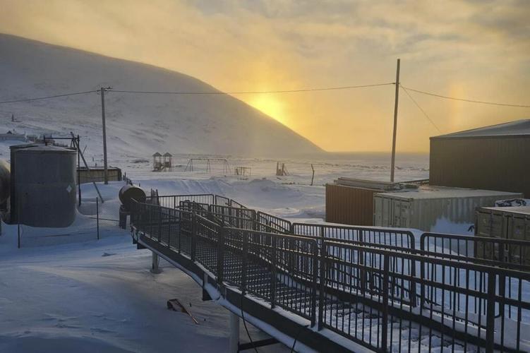 Polar bear emerged unseen from snowstorm to kill mom, son