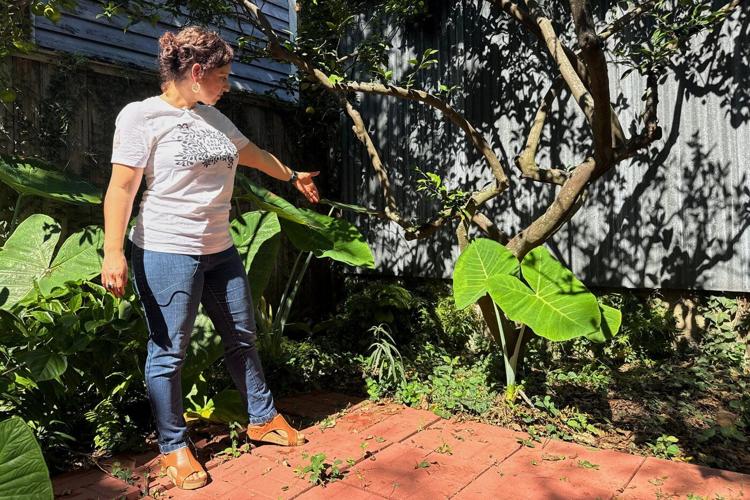 A long-lost ancient Roman artifact reappears in a New Orleans backyard