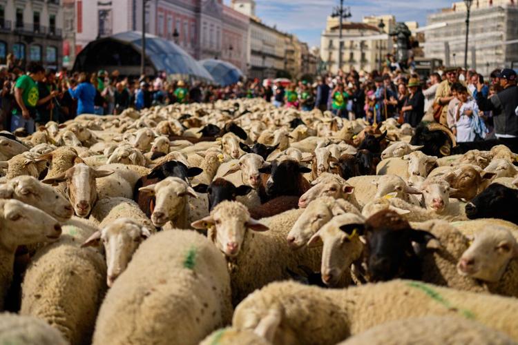 The top photos of the day by AP's photojournalists