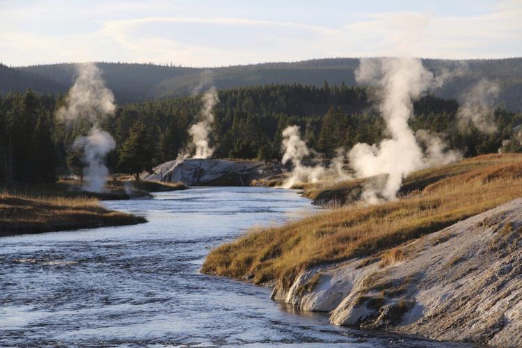 Bison gores man in Yellowstone after visitors get too close