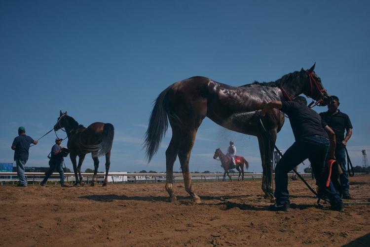 PHOTO ESSAY: Aqueduct Race Track closes after 'A Good Run' of over 130 years