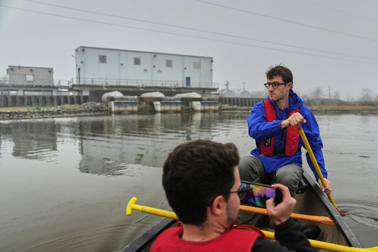 What can toughen Louisiana coast against worsening storms? 4 years and 30,000 trees