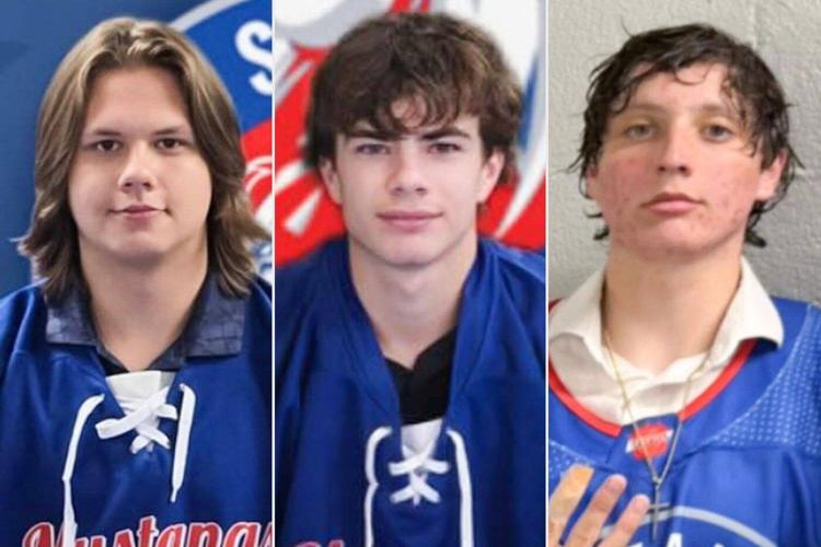 Alberta hockey team to play benefit game after 3 members die in crash